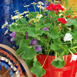 July Porch Pots