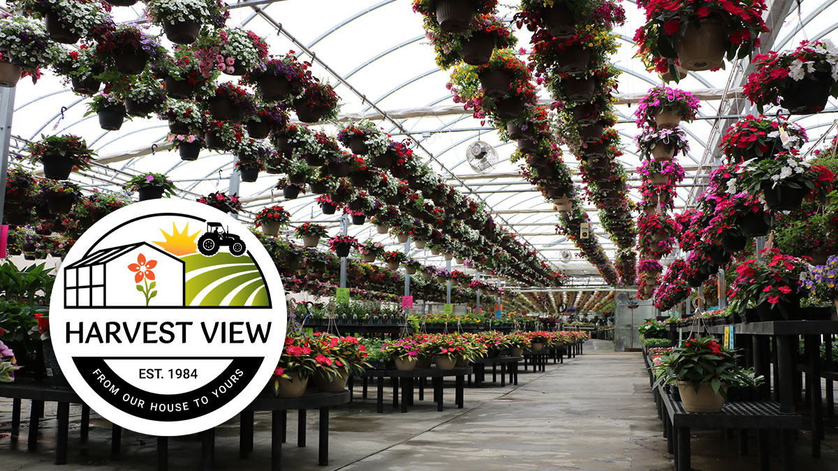 Our Garden Center – Harvest View Greenhouses Harvest View Greenhouses