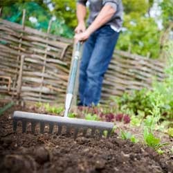 early spring gardening New York
