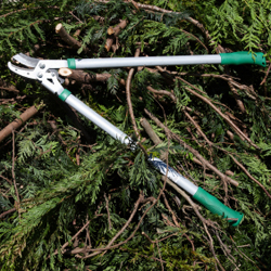 holiday gardening New York