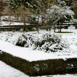 holiday gardening New York