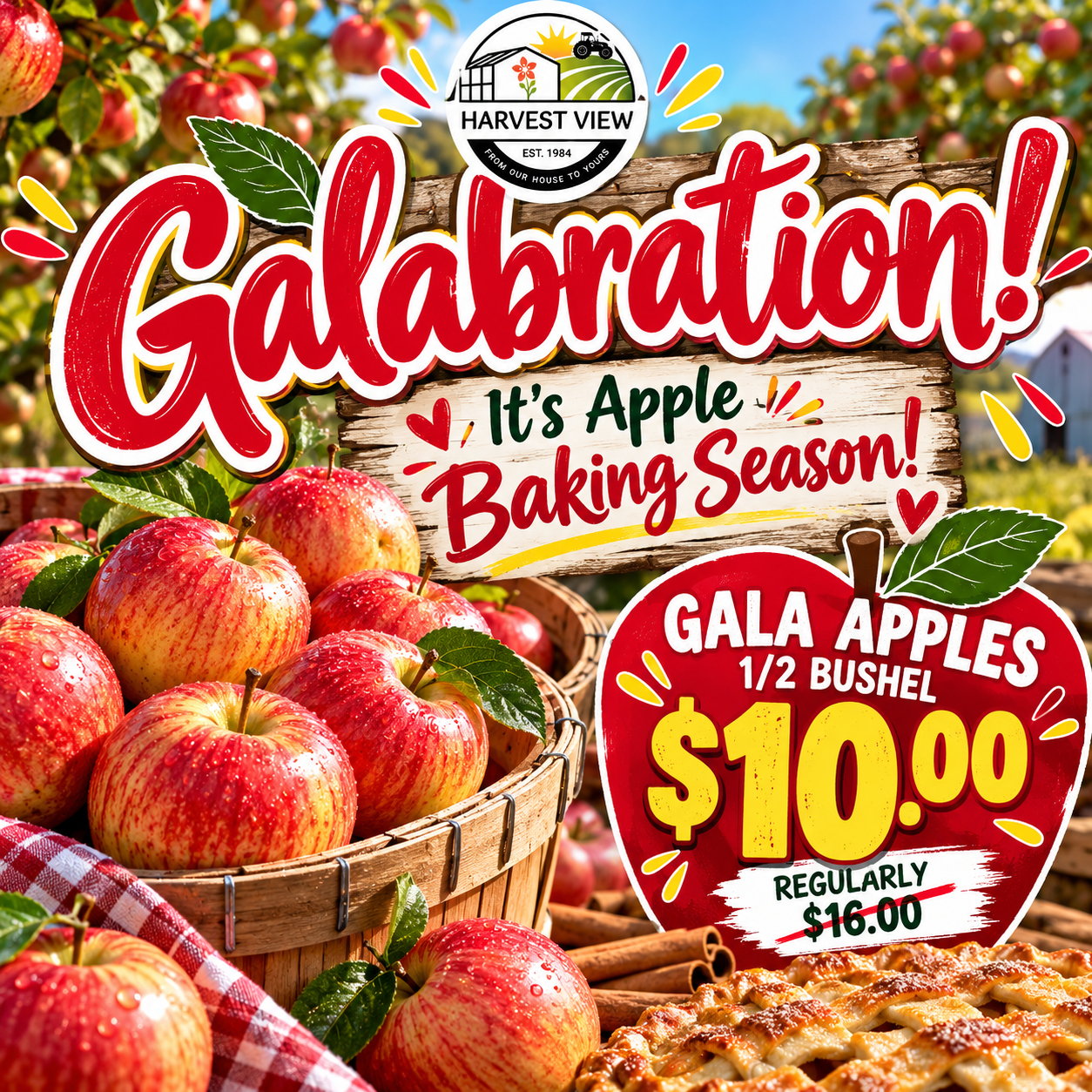 Galabration Gala apples 1/2Bushel $10.00