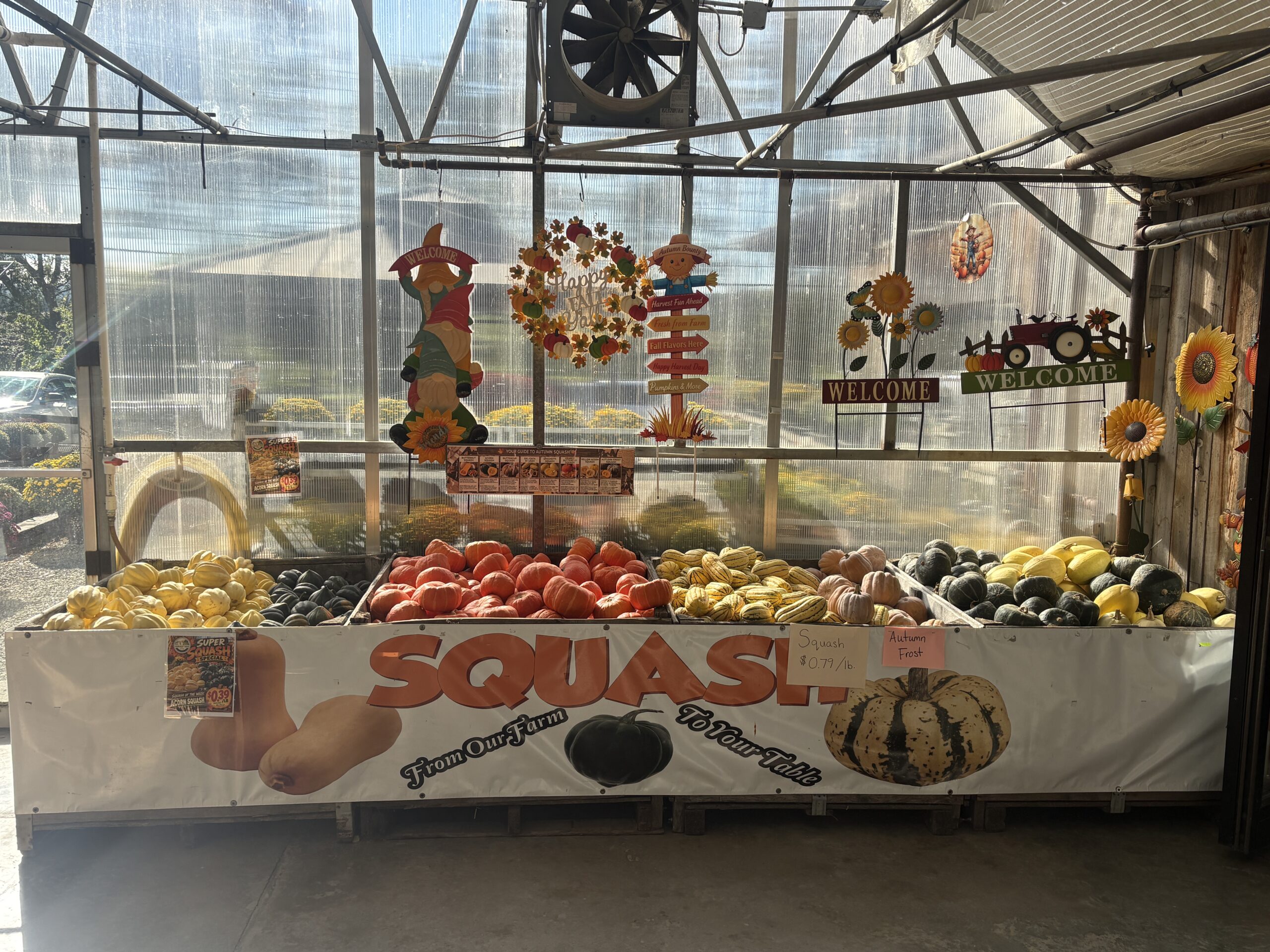 Fall Squash